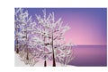 Winter landscape in pink color